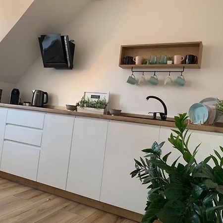 Szepty Mansardy Apartment ทอรูน ภายนอก รูปภาพ